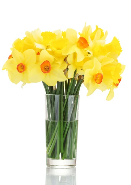 Красивые желтые нарциссы в прозрачной вазе изолированы на белом — стоковое фото