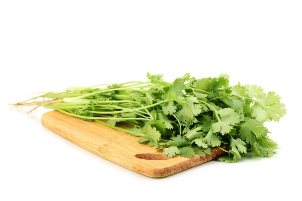 Fresh coriander or cilantro on wooden board isolated on white — Stock Photo, Image