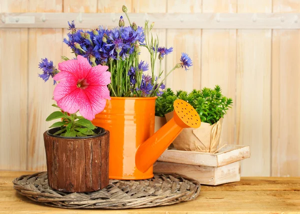 Regar lata e plantas em vasos de flores sobre fundo de madeira — Fotografia de Stock