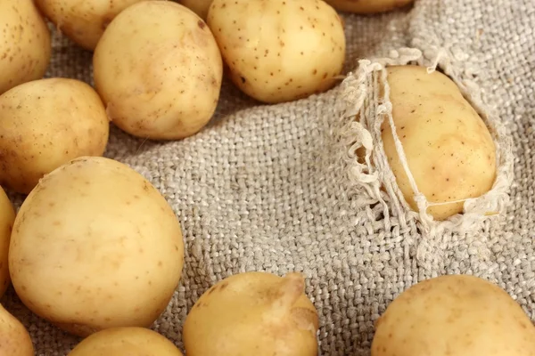 Ziemniaki w rozdarty worek zbliżenie — Zdjęcie stockowe
