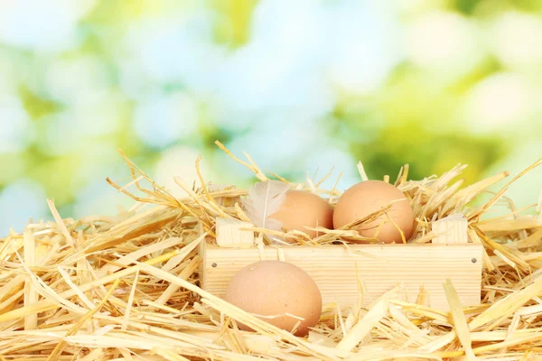 Ovos castanhos em uma caixa de madeira na palha no fundo verde — Fotografia de Stock