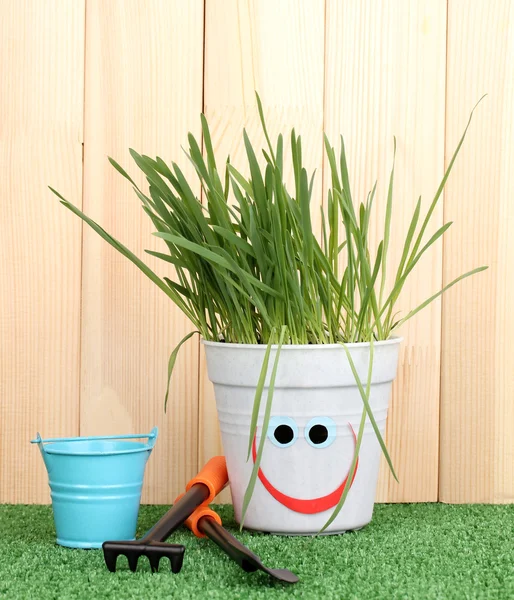 A pot of grass on wooden background — Stock Photo, Image