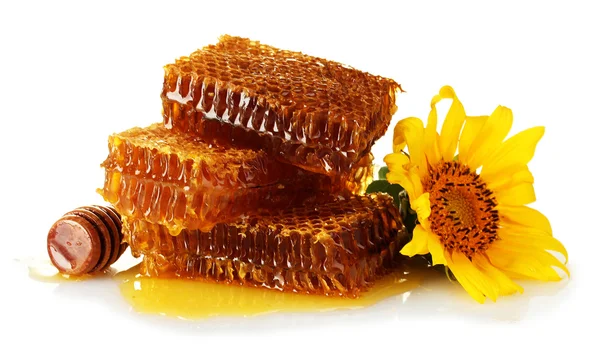 Panales dulces con miel, rociador de madera y girasol, aislados en blanco —  Fotos de Stock