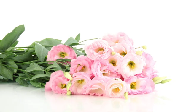 Bouquet of eustoma flowers, isolated on white — Stock Photo, Image