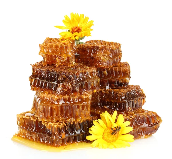Zoete honingraat met honing, honingbij over bloemen, geïsoleerd op wit — Stockfoto