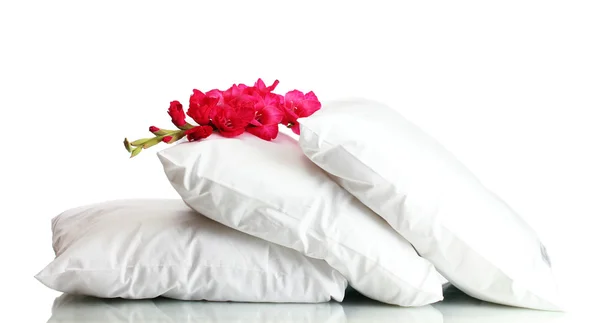 Kussens en bloem, geïsoleerd op wit — Stockfoto