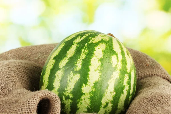 Ripe watermelon in sackcloth on green background close-up — Stock Photo, Image