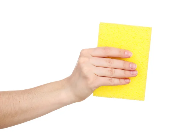 Cellulose sponge isolated on white — Stock Photo, Image