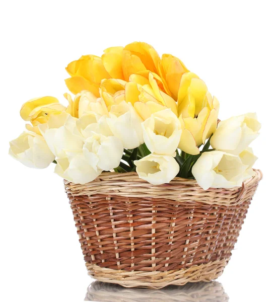 Красивые тюльпаны в корзине изолированы на белом — стоковое фото