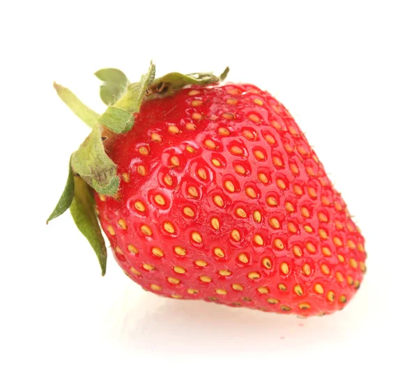 Söt mogen jordgubbe isolerad på vit — Stockfoto