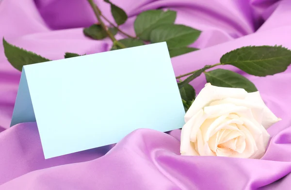 Schöne Rose auf fliederfarbenem Tuch — Stockfoto