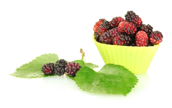 Heldere silicone cutter met rijpe mulberry geïsoleerd op wit — Stockfoto