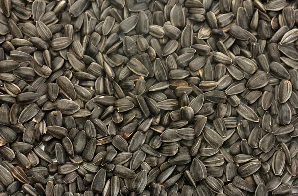 Slunečnicová semena pozadí — Stock fotografie