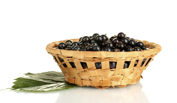 Fresh black currant in wicker basket isolated on white — Stock Photo, Image