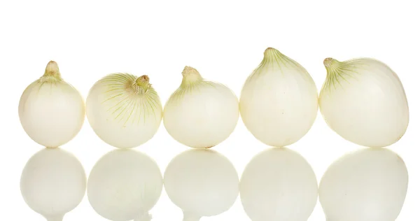 Cipolla bianca isolata su fondo bianco — Foto Stock