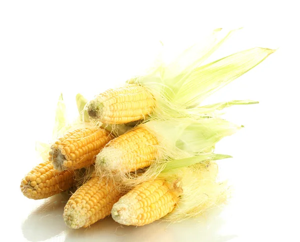 新鲜玉米，孤立在白色 — 图库照片