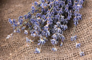 Lavender flowers on sackcloth