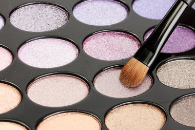 Shadow kit with brush for make-up clipart