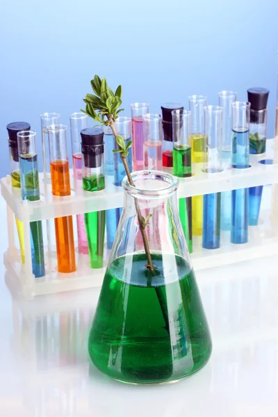 Różne Naczynia laboratoryjne z kolor płynu na niebieskim tle — Zdjęcie stockowe