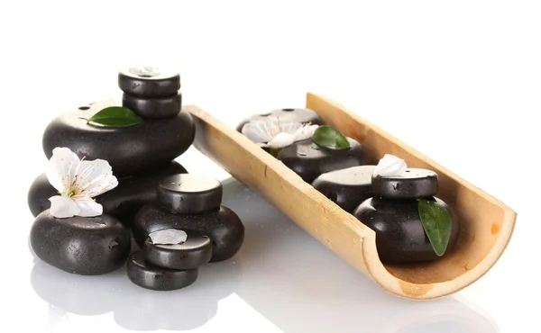 Composición de piedras de spa, bambú, pétalos y hojas aisladas en blanco —  Fotos de Stock