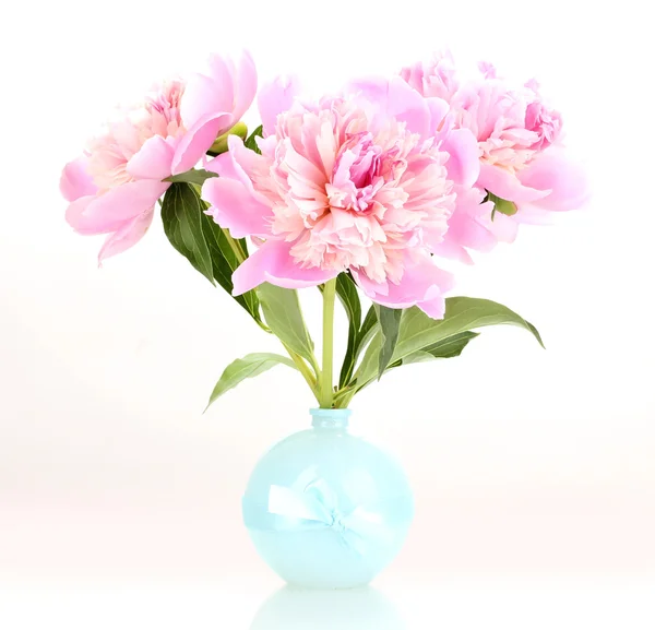 Три розовых пиона в вазе изолированы на белом — стоковое фото