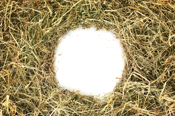 白い背景の上の黄金の干し草のフレーム — ストック写真