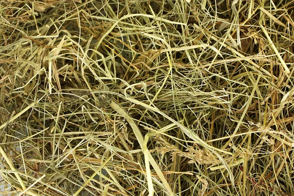 Крупный план текстуры золотого сена — стоковое фото