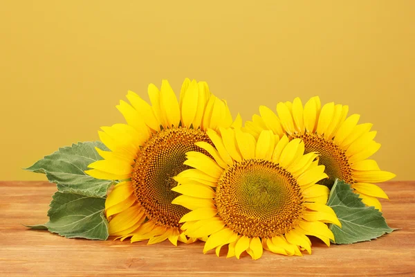 Sonnenblumen auf gelbem Hintergrund — Stockfoto