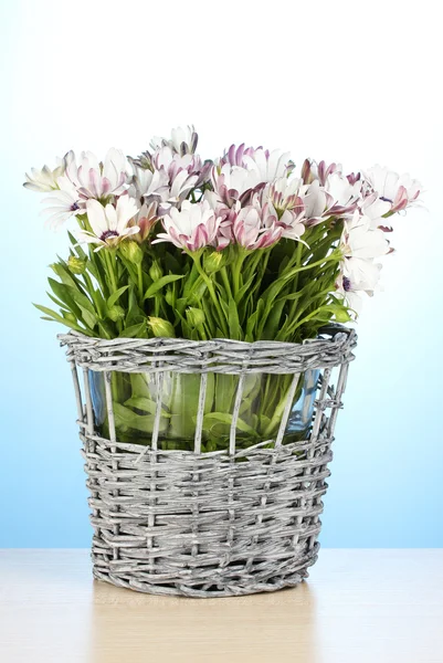 Boeket van mooie zomerbloemen in rieten vaas, op blauwe achtergrond — Stockfoto