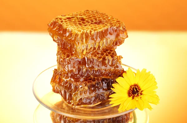 Peine de abeja sobre fondo naranja —  Fotos de Stock