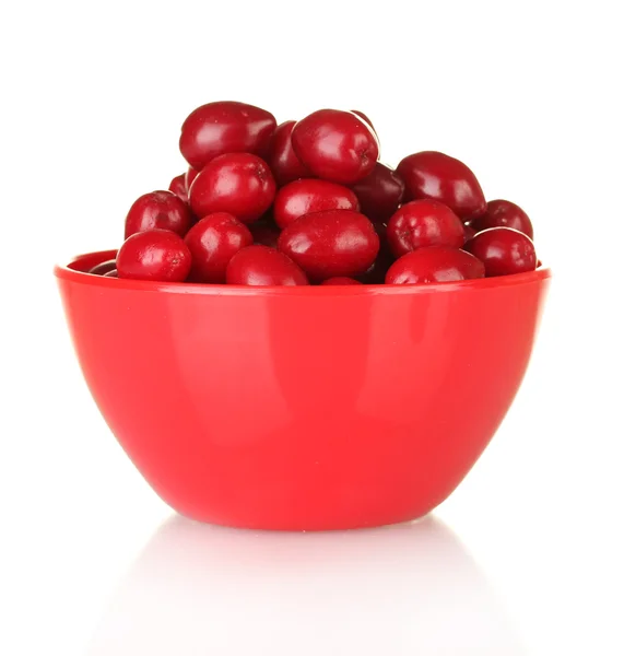 Cornel świeże jagody w czerwony miska na białym tle — Zdjęcie stockowe