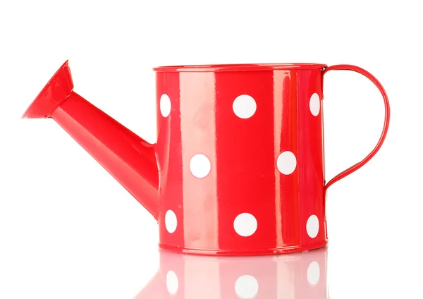 Red watering can with white polka-dot isolated on white — Stock Photo, Image