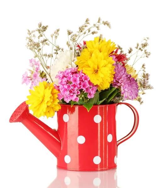白い水玉白で隔離される花と赤の水まき缶 — ストック写真