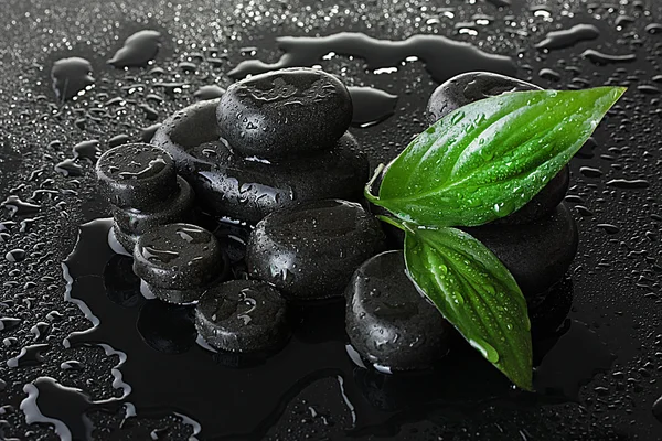 Wellness-Steine mit Tropfen und grünen Blättern auf grauem Hintergrund — Stockfoto