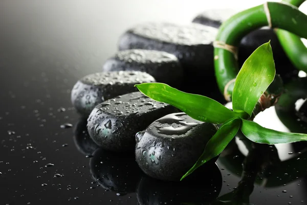Wellness-Steine mit Tropfen und grünem Bambus auf grauem Hintergrund — Stockfoto