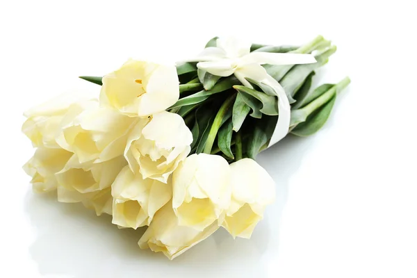 Indah tulip terisolasi pada putih — Stok Foto