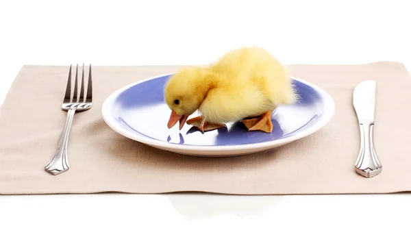 Duckling and table setting isolated on white — Stock Photo, Image