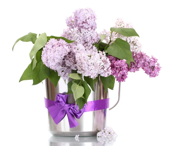 Bellissimi fiori lilla in secchio di metallo isolato su bianco — Foto Stock