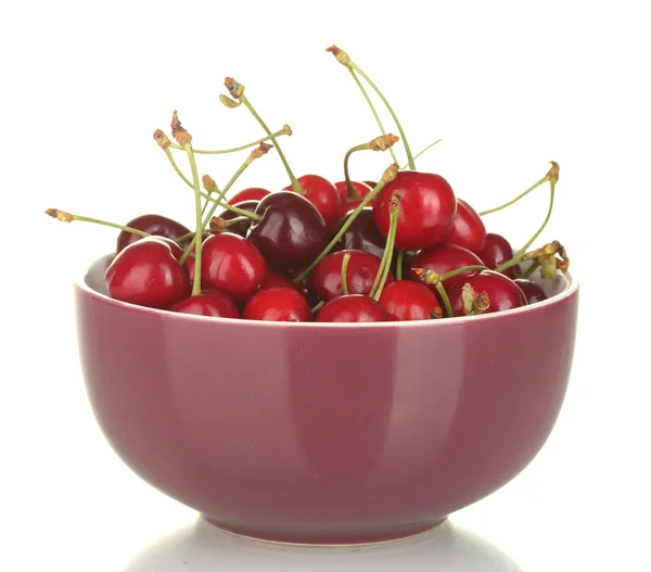 Świeżych wiśni w fioletowe miska na białym tle — Zdjęcie stockowe