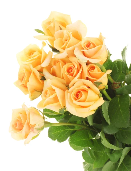Krásná kytice růží izolovaných na bílém — Stock fotografie