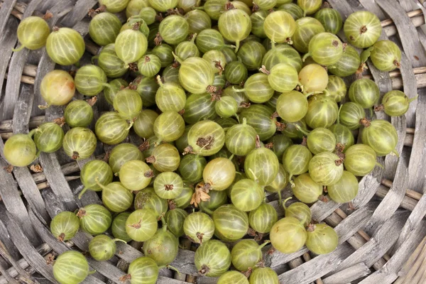 Green gooseberry on wicker mat close-up — Stock Photo, Image