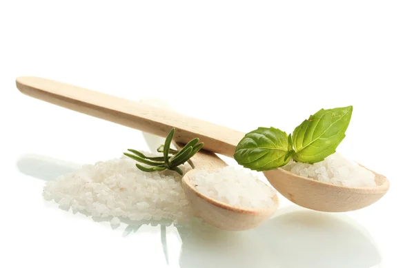 Соль в ложках со свежим базиликом и розмарином изолированы на белом — стоковое фото