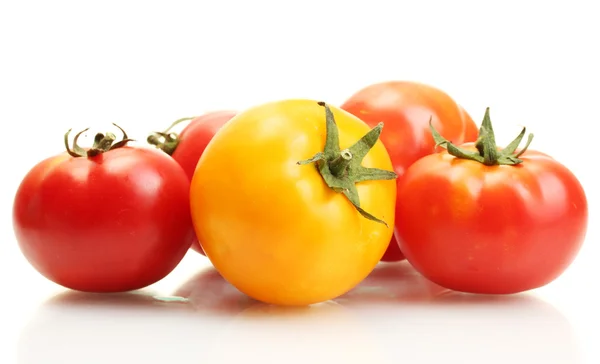 Rode en gele tomaten geïsoleerd op wit — Stockfoto