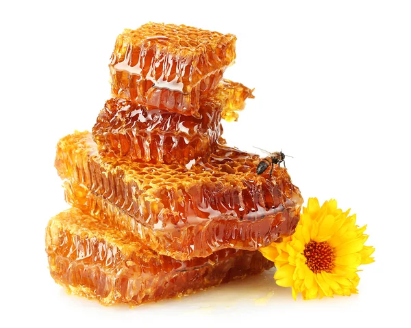 Panal dulce con miel, abeja y flor, aislado en blanco —  Fotos de Stock