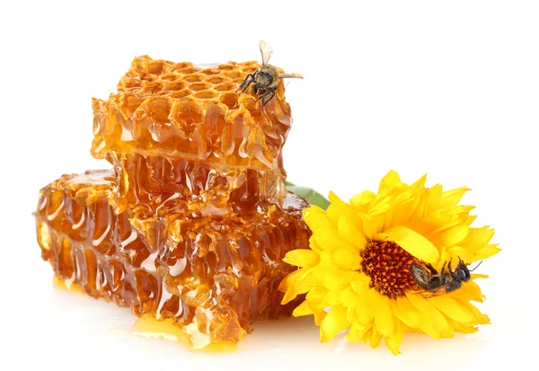 甜蜂窝状，与蜂蜜、 蜜蜂和花朵，白色上孤立 — 图库照片