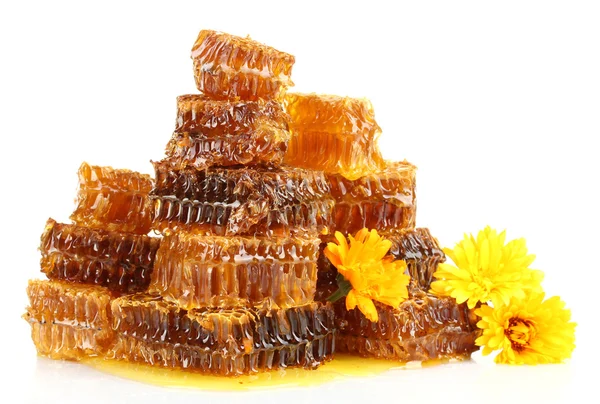 Favos de mel doces com mel e flores, isolados em branco — Fotografia de Stock