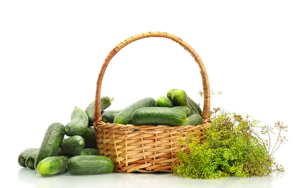 Fresh cucumbers and dill in basket isolated on white — Stock Photo, Image