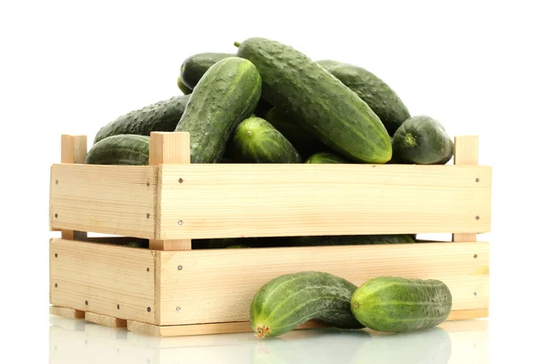 Verse komkommer in houten doos geïsoleerd op wit — Stockfoto
