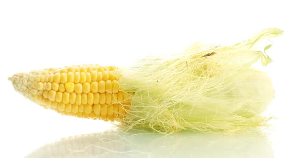 Fresh corn, isolated on white — Stock Photo, Image