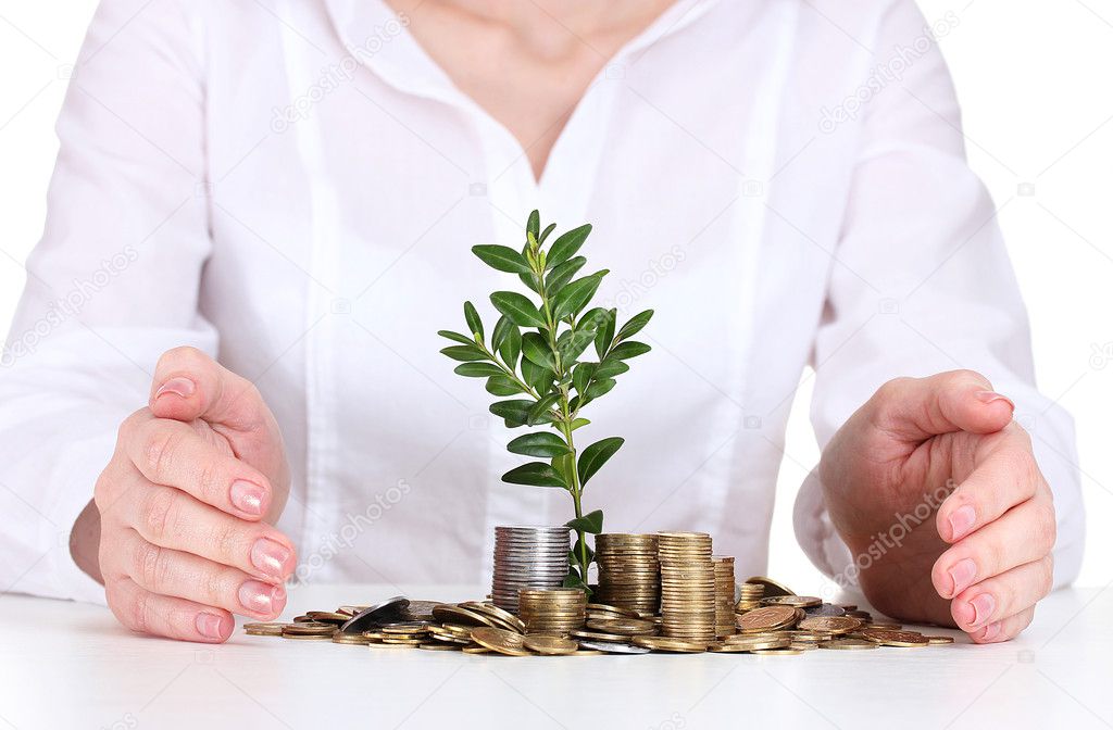 Woman hands with coins and plant